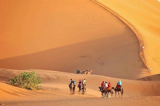 Marrakech to Fez via Merzouga Desert 3-Days | Marrakech-to-Fes - Key Points