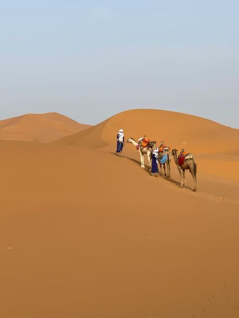Marrakech to Fez via Merzouga Desert 3-Days Sahara Tour - An In-Depth Look at the Journey