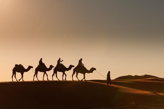 Marrakech to Merzouga 3-Days Desert Safari Shared - Transportation and Group Size