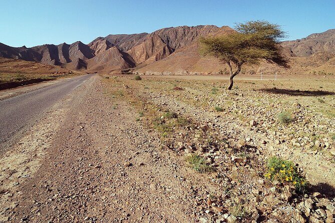 Marrakech to Merzouga 3-Days Group Desert Tour - FAQ