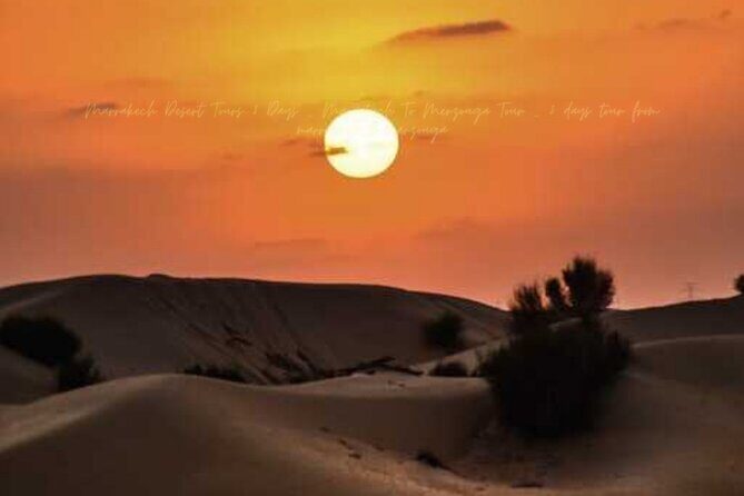 Marrakech to Merzouga 3 Days Luxury Tour -Luxury Desert Camp - Who Should Consider This Tour?