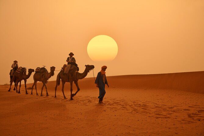Marrakech to Merzouga Desert 3-Day via the High Atlas Mountains - Who Will Love This Tour?