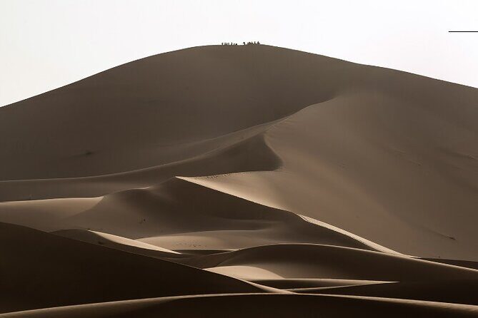 Marrakech to Merzouga Desert Tour 3 Days - What Makes This Tour Valuable?