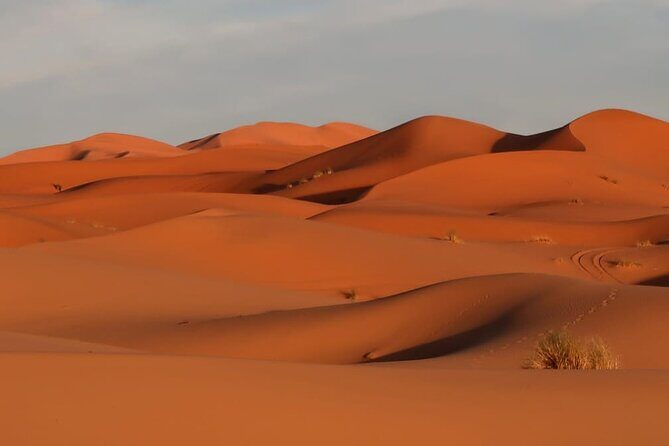 Marrakech To Merzouga Sahara Desert Tour-3 Days 2 nights Adventur - In-Depth Look at the Itinerary