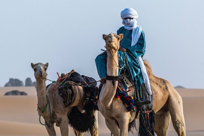 Marrakech To Merzouga Sahara Desert Tour-3 Days 2 nights Adventur - What Do Travelers Say?