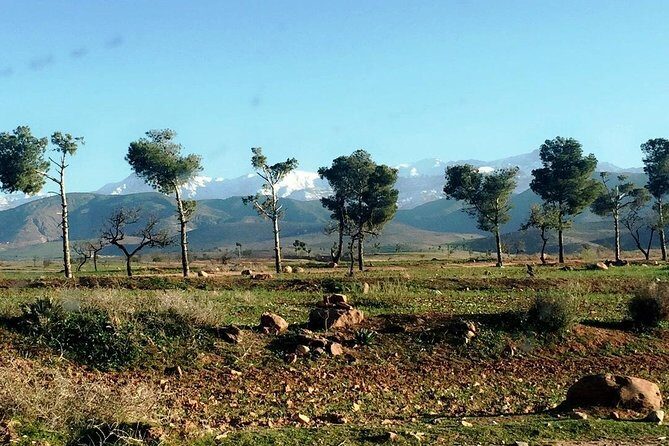 Marrakech to the Atlas Mountains: Nature, Culture& Three Valleys - Starting Point and Transportation
