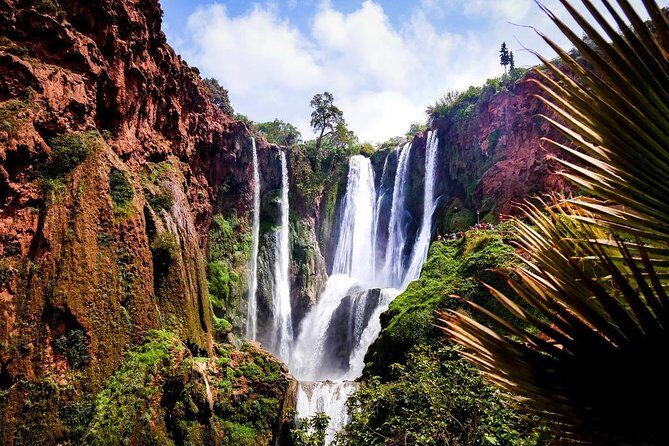 Marrakech To Waterfalls Ouzoud Day trip - An In-Depth Look at the Ouzoud Waterfalls Day Trip