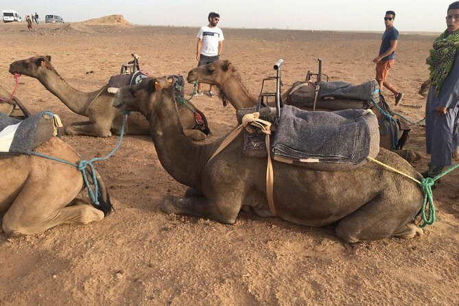 Marrakech to Zagora 2 Days Desert Tour - A Solid Introduction to Moroccan Landscapes and Culture