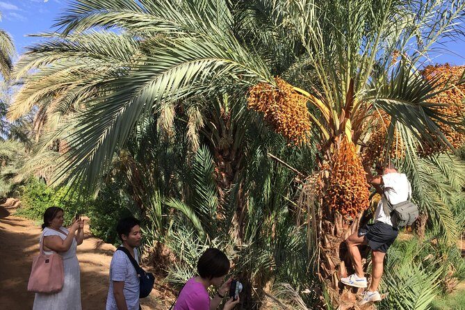 Marrakech to Zagora 2 Days Desert Tour - Practical Details and Value
