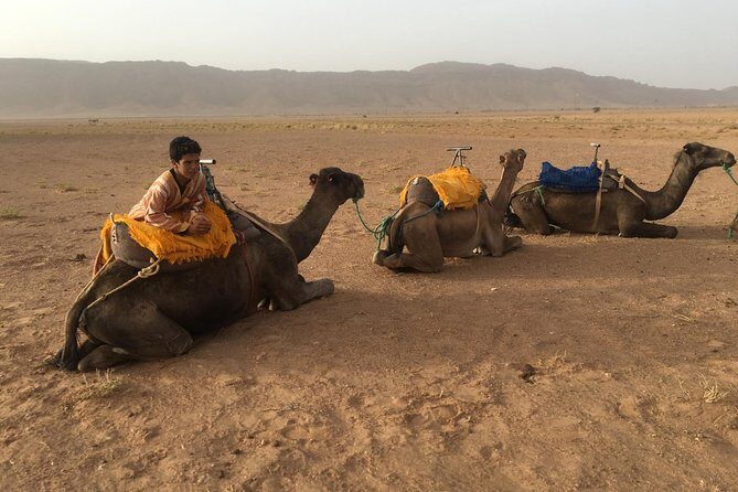Marrakech to Zagora 2 Days Desert Tour - Frequently Asked Questions
