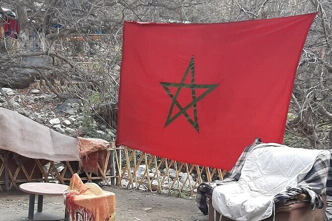 Marrakech Tour: Ourika Valley, Atlas Mountains , Waterfalls - What Travelers Say