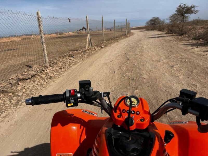 Marrakech Tour: Quad bike, Lunch in Palm Grove, Hammam & SPA - Final Thoughts