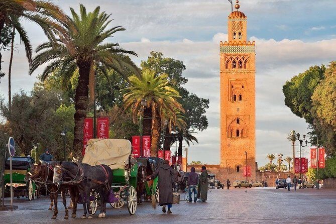 Marrakech Walking Tour Explore the Medina Souks - Who Will Enjoy This Tour?