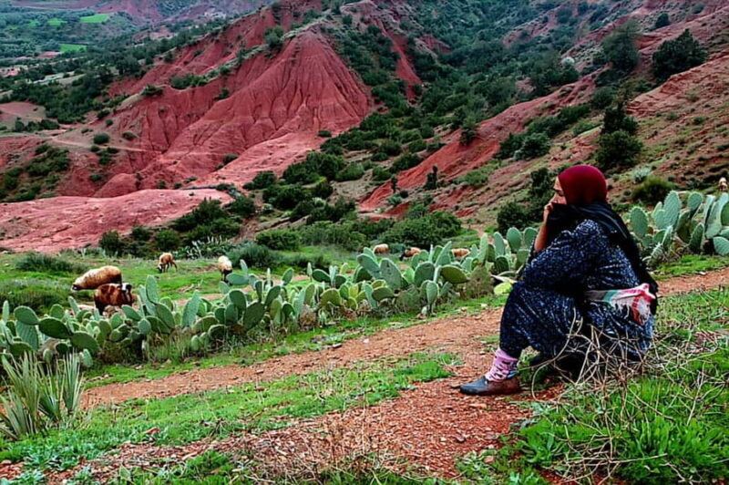 Marrakech: Zipline and Breakfast in the Atlas Mountains - The Sum Up: Who Is This Tour For?
