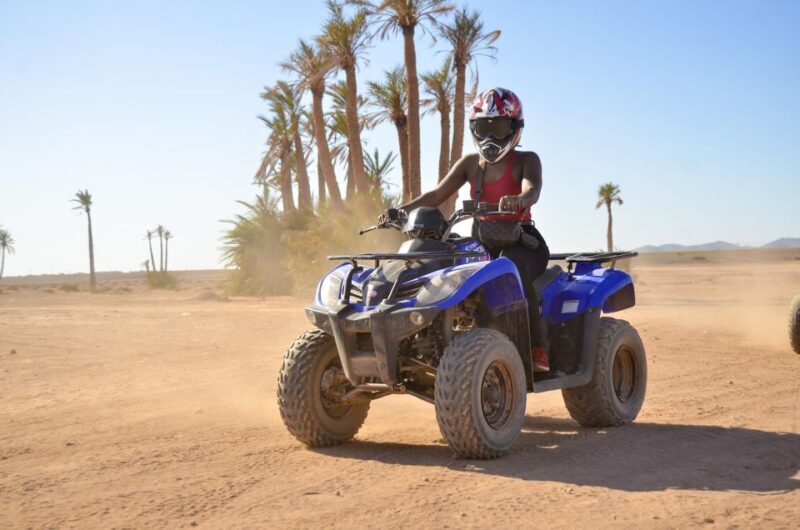 Marrakech:Activities Quad bik/Buggy/Camel at the palm grove - Who Will Love This Tour?