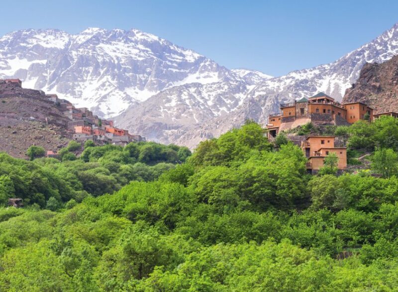 Marrakech:Atlas Mountains day trip,Camel Ride & Berber Lunch - Who Is This Tour Best For?