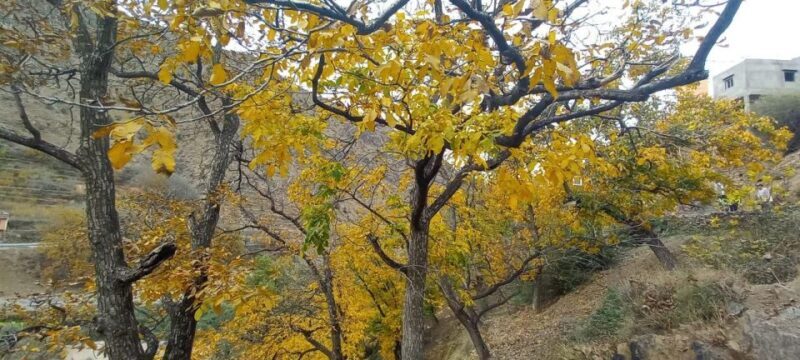 Marrakech:Atlas Mountains, Ourika Valley Day Trip,Waterfall - Final Thoughts
