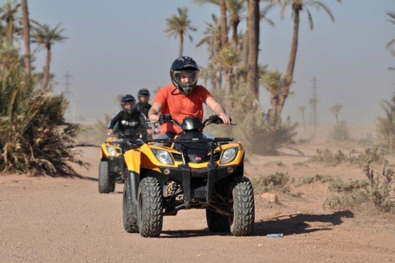 Marrakech:excursion quad in Oasis palm & jbilat desert,tea - Key Points