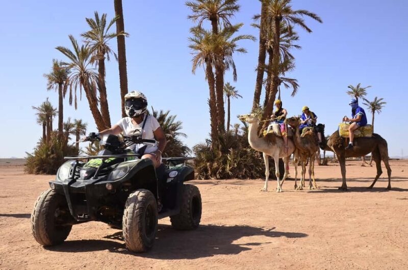 Marrakech:excursion quad in Oasis palm & jbilat desert,tea - FAQ