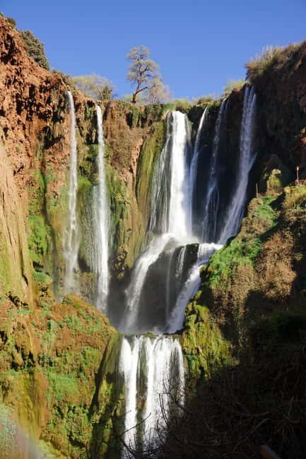 Marrakech:private Hike Ouzoud Falls & Savor a Local Lunch - Key Points
