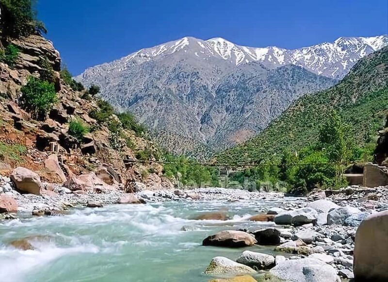 Marrakech's Atlas Adventures Ourika valley & Savory Lunch - Authentic Experiences Highlighted by Travelers