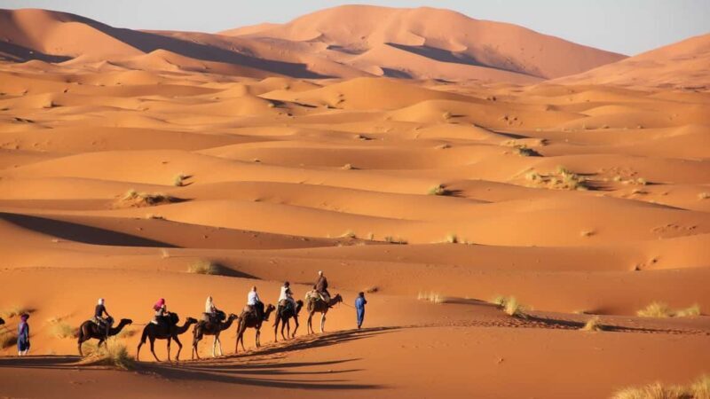 Marrakesh: 3 Days Sahara Tour To Merzouga Desert & Camping - Who Should Consider This Tour?