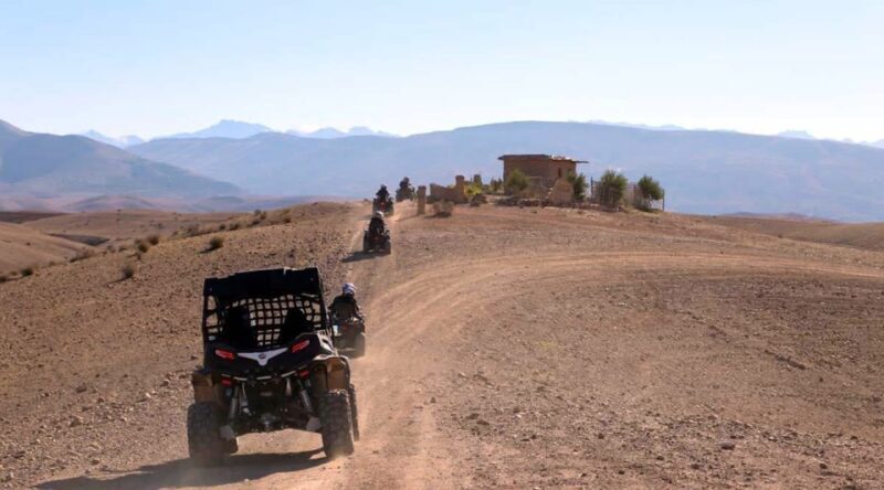 Marrakesh: Agafay Desert Quad & Camel Tour with Dinner - Authenticity and Overall Experience