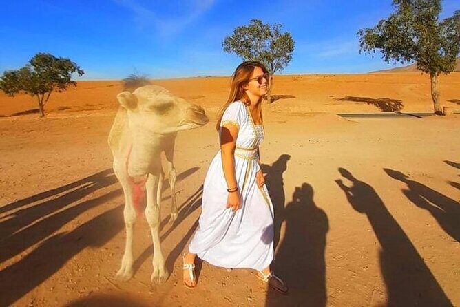 Marrakesh: Agafay Desert , sunset camel ride,meal and show - What to Expect from This Marrakech Day Trip