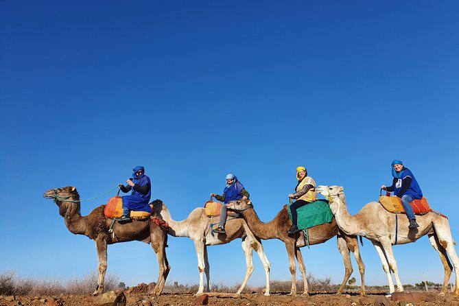 Marrakesh: Agafay Desert Tour with Lunch and Camel Ride - An Overview of the Tour Experience