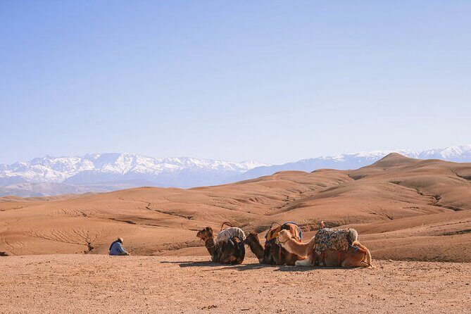 Marrakesh: Agafay Desert Tour with Lunch and Camel Ride - FAQ