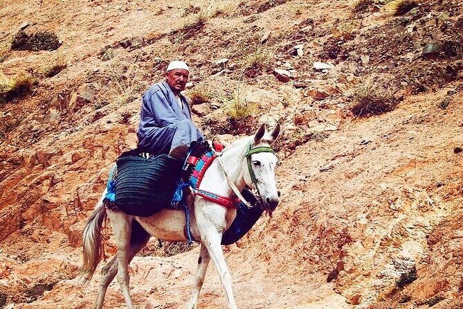 Marrakesh: Atlas Mountains Berber Villages & Waterfalls Tour - Transportation and Group Dynamics