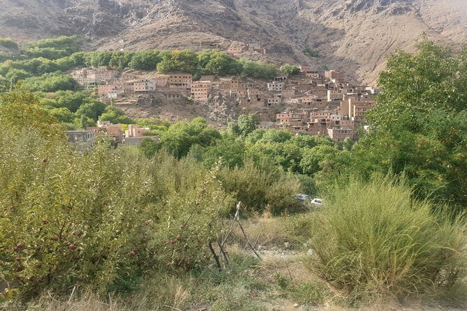 Marrakesh: Atlas Mountains Ourika Valley waterfall & Guide - Who Will Love This Tour?