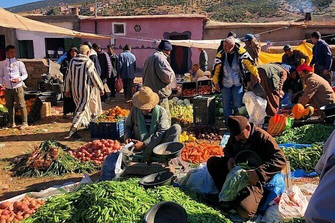 Marrakesh: Atlas Mountains Tour with a Guide - Final Thoughts
