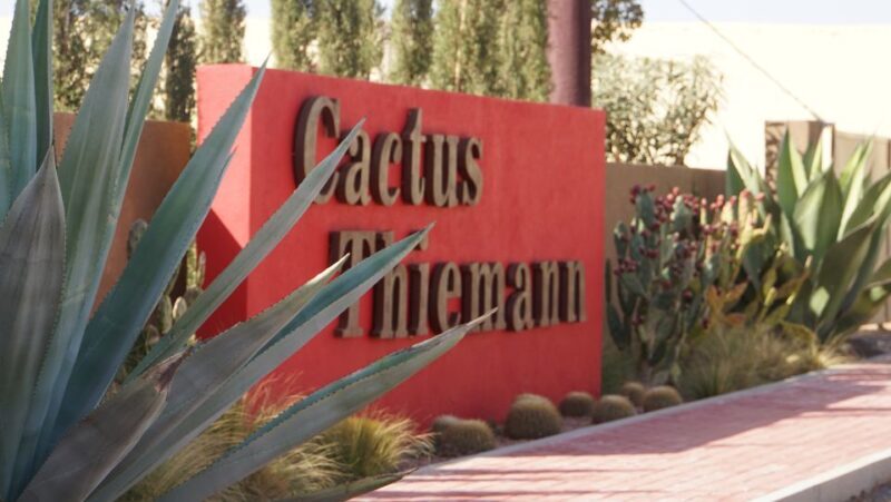 Marrakesh: Cactus Thiemann Entry Ticket - Authentic Experiences and Reviews