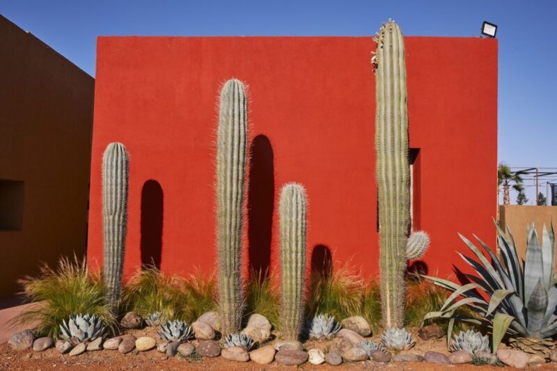 Marrakesh: Cactus Thiemann Entry Ticket - Who Will Love This Tour?