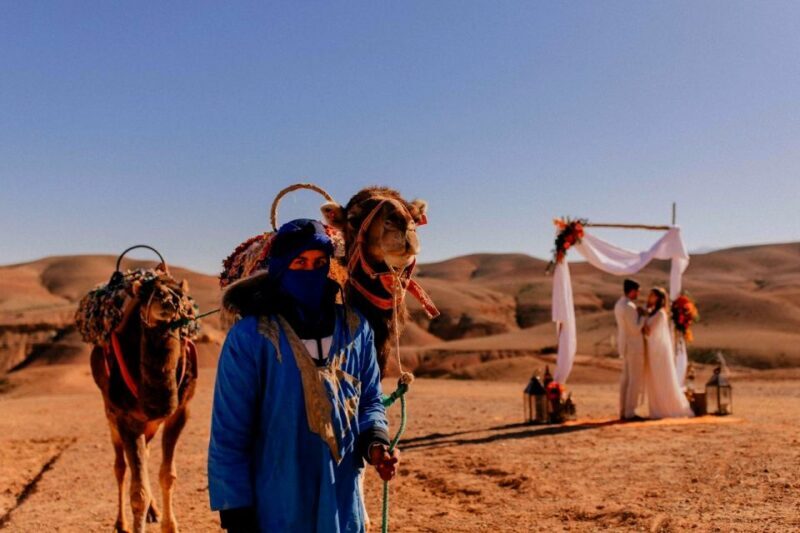 Marrakesh: Desert & Mountain Tour with Camel Ride & Lunch - Pricing and Value for Money