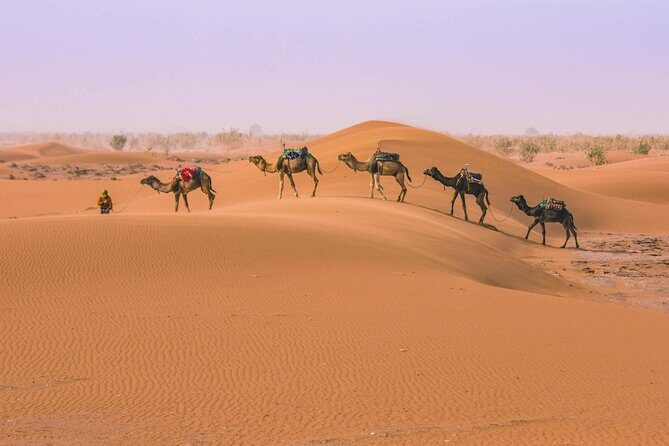 Marrakesh desert tour 3 days - FAQ