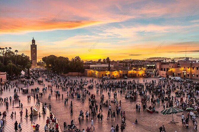Marrakesh Guided City Tour - Who Will Get the Most from This Tour?