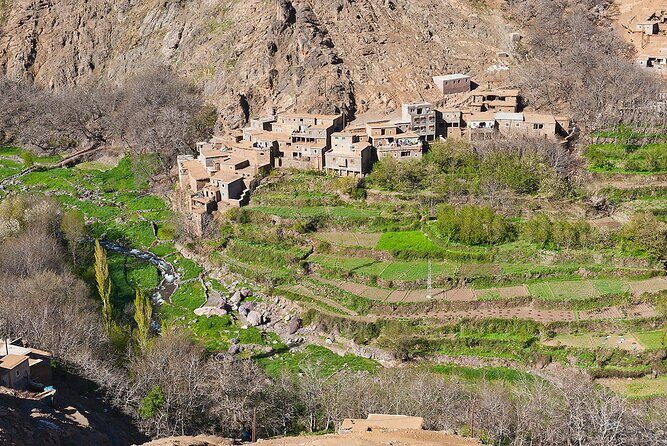 Marrakesh: High Atlas, Agafay desert and Waterfalls Tour - A Stop at Plateau du Kik for Tea and Photos