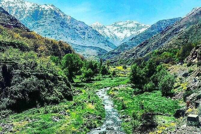 Marrakesh: High Atlas, Agafay desert and Waterfalls Tour - The Unique Landscape of Agafay