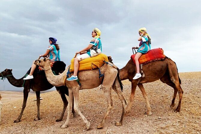 Marrakesh: High Atlas, Agafay desert and Waterfalls Tour - Practical Details & What to Expect