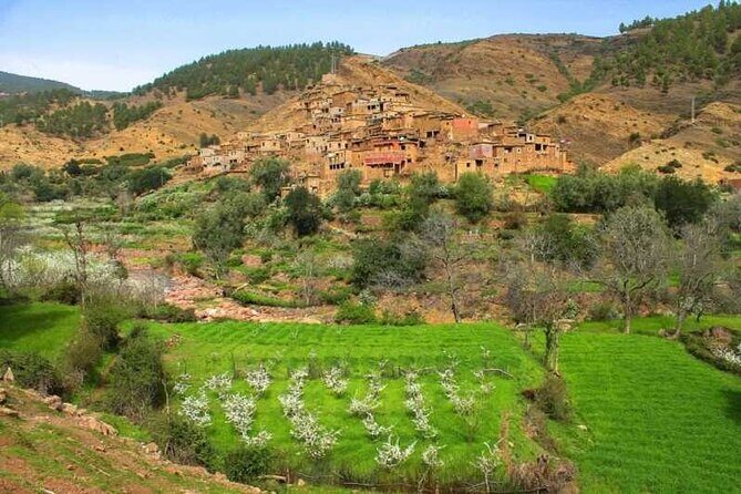 Marrakesh: High Atlas, imlil Valley & Waterfalls Tour - Authentic Experiences Highlighted by Reviews