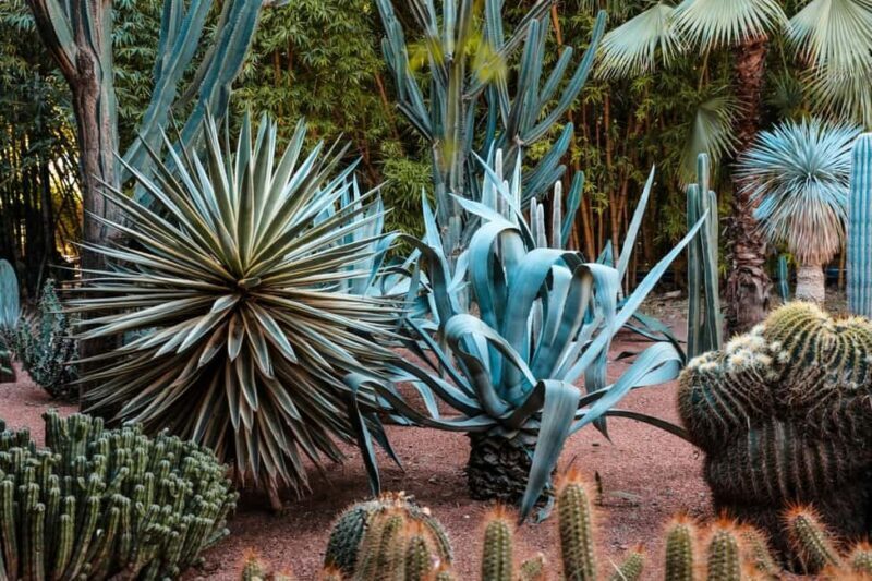 Marrakesh: Majorelle Garden Entry Tickets - The Visual and Sensory Experience