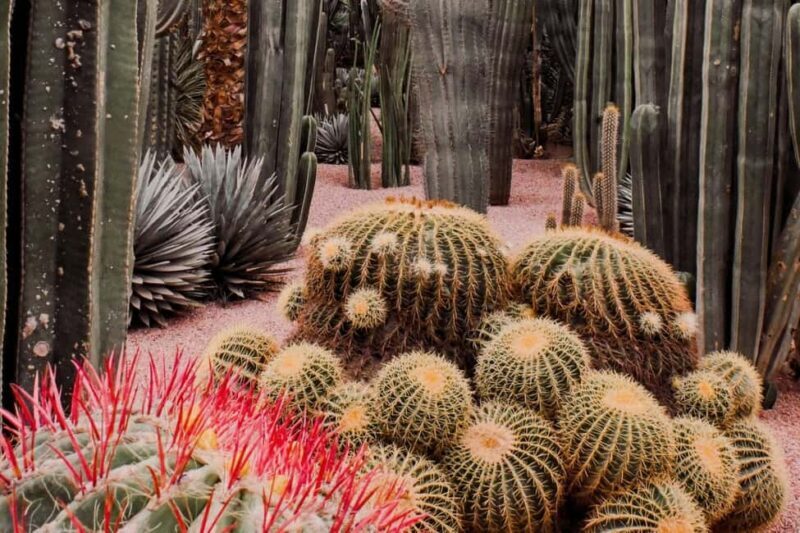 Marrakesh: Majorelle Garden Entry Tickets - Practical Tips for Visiting