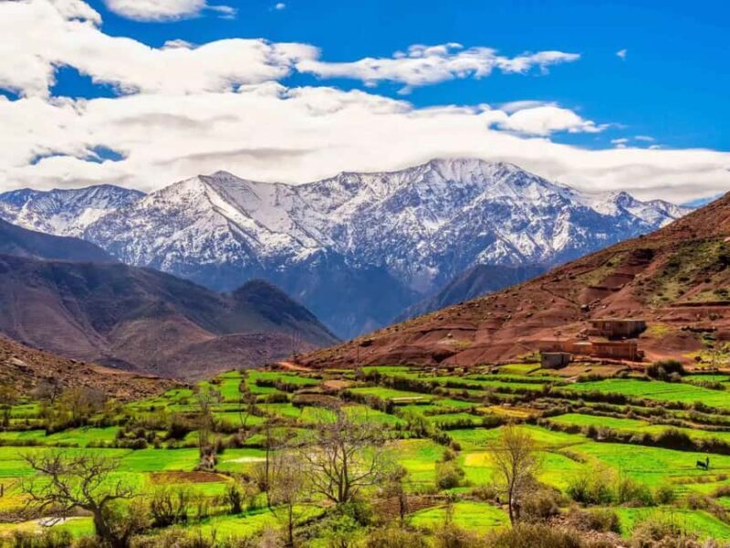 Marrakesh: Ourika Waterfalls, Atlas Mountains, Guide + Lunch - Practical Details: What to Expect