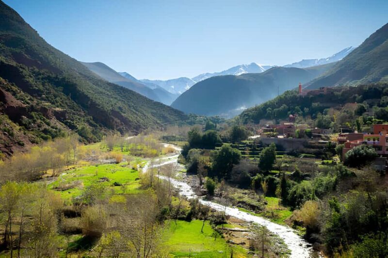 Marrakesh: Ourika Waterfalls, Atlas Mountains, Guide & Lunch - A Practical Guide to the Ourika Waterfalls Tour