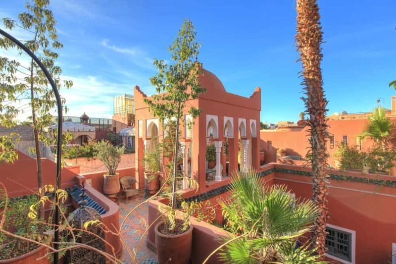 Marrakesh: Private Yoga & Detox Day in Vibrant Marrakesh - An In-Depth Look at the Marrakesh Yoga & Detox Tour