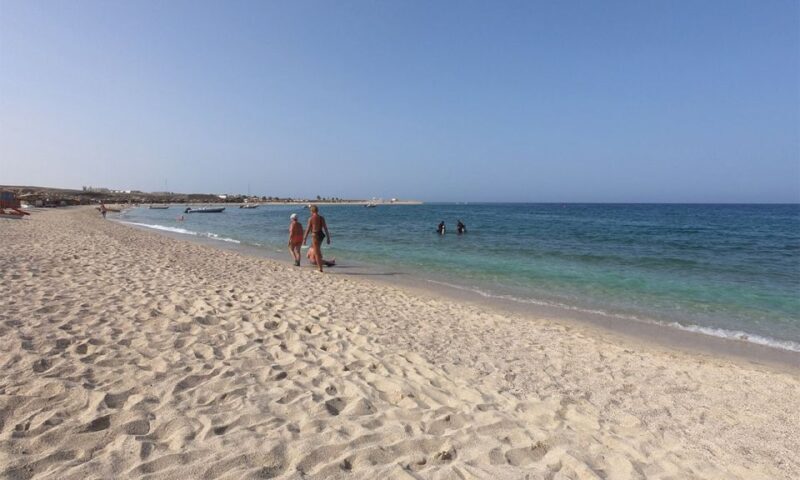 Marsa Alam: Abu Dabbab Snorkeling Tour - Key Points