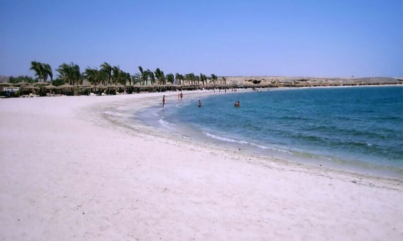 Marsa Alam: Abu Dabbab Snorkeling Tour - What to Expect from the Abu Dabbab Snorkeling Tour