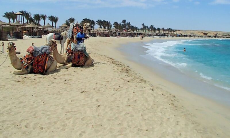 Marsa Alam: Abu Dabbab Snorkeling Tour - The Value of the Tour